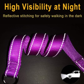 Mycicy Reflective Slip Collar, Soft Nylon Training Choke Collar for Dogs in Purple 22", Wide 1"