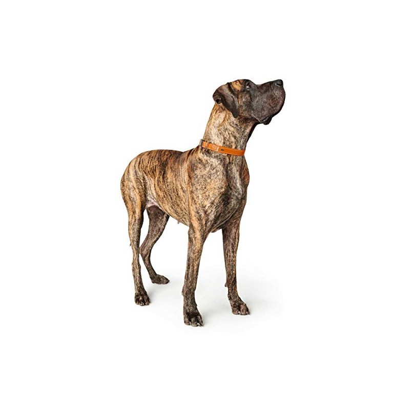 Cannes Aluminium Strong Collar