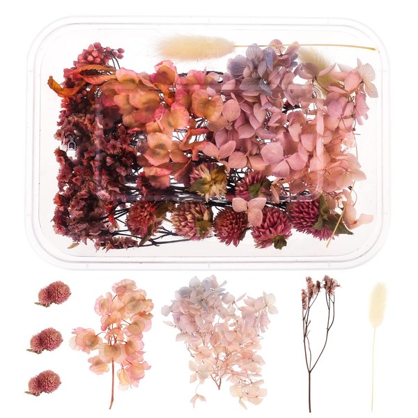 Dacitiery Natural Dried Flowers Pressed Flowers Real Dried Pressed Flowers and Leaves Dried Flowers Set for Scrapbooking DIY Candle Resin Jewelry Crafts(Pink)