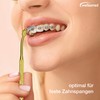 wellsamed Dual Interdental Brush Holder with Angled Head Gold for