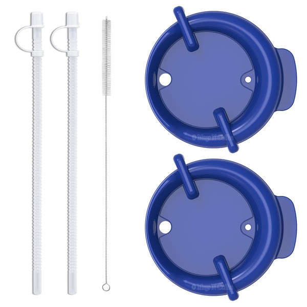 Replacement Lids with Straws and Straw Cleaning Brush for Whirley