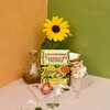 Fusion Flavors Dips and Seasonings Variety Packs - Euro Blends