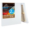 PHOENIX 30x30 Inch 2 Pack Gallery Canvas - 1.5 in