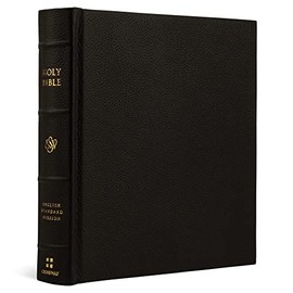 ESV Journaling Bible (Buffalo Leather over Board, Deep Brown)