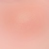 TIRTIR Airy Bloom Mesh Cushion Blush (10 Colors) - 05