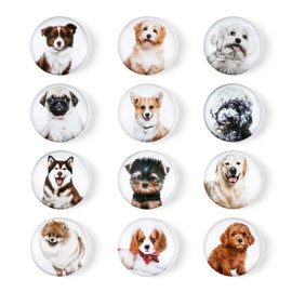 FuninCrea Magnetic Fridge Stickers, Pack of 12 Glass Colourful Cute Dog Fridge Magnet White Board Magnet Stickers Applicable to Fridge Decoration (D)