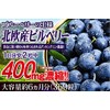 北欧産100倍濃縮 ビルベリー72,000mg＆ルテイン (約6ヵ月分/360粒)