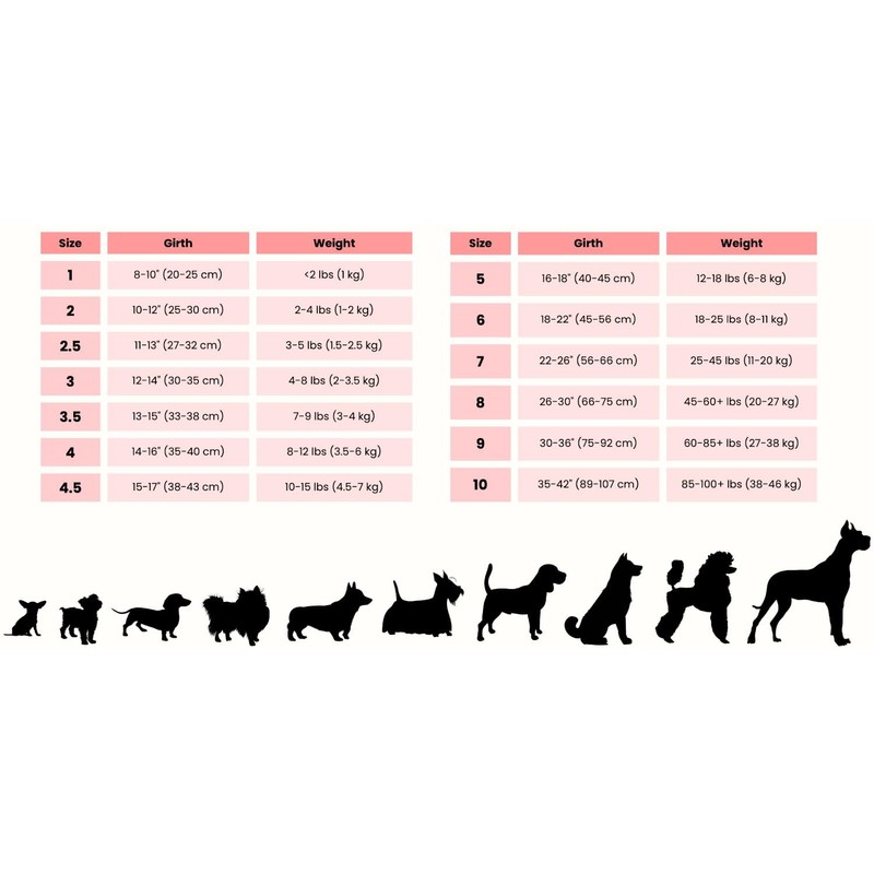 BUDDY BELT Buddy Belts Harness Pebble Grain Red - Premium