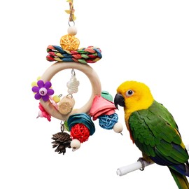 Neeenn Bird Chewing Toys, Hanging Natural Materials Parrot Chew Toy, Bird Cage Accessories, Suitable for Small to Medium Birds Budgie Lovebirds Conures Parakeets Cockatiels