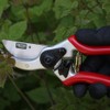 Siena Garden 691524 Premium Bypass shears 2-SF
