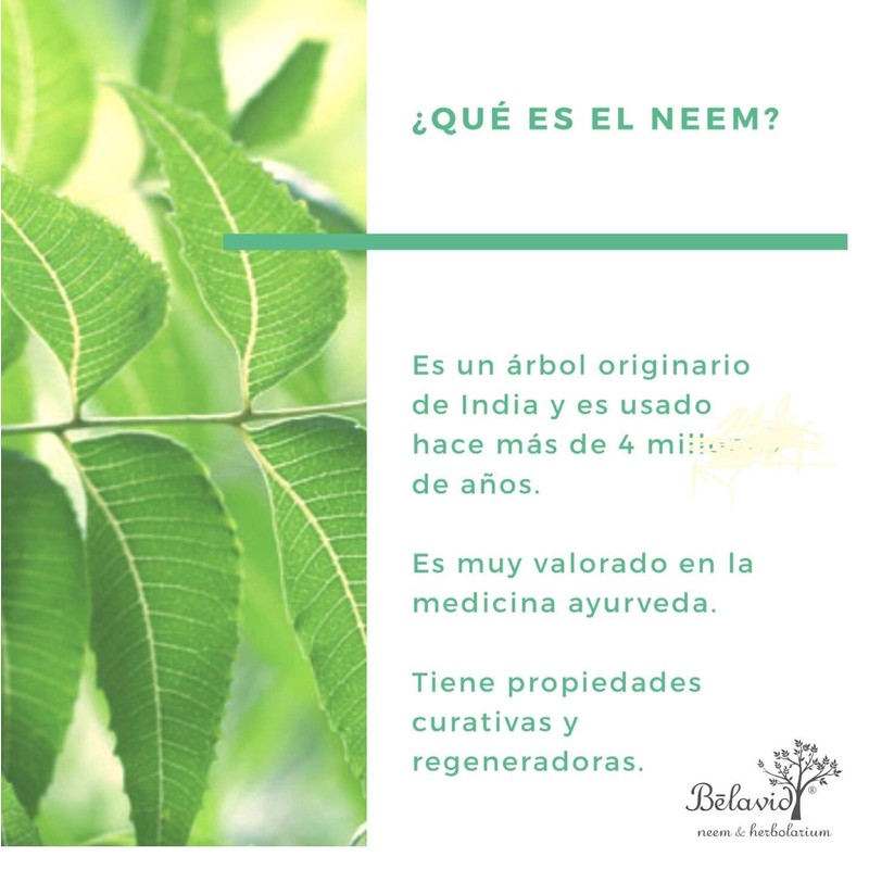 Neem Extracto 50ml y Hojas Deshidratadas 21g