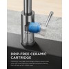 FORIOUS Kitchen Faucets, Brushed Nickel Kitchen Sink Faucet with Pull