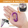 Carabiner Keychain,Aluminum D-ring Locking Carabine D-Shape Lock Snap Backpack Water