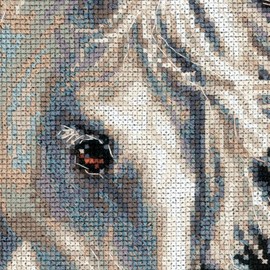 Riolis Kreuzstich-Set Andalusische Charakter Gezählt Set, Schwarz