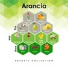 Arancia 4 oz Refill for Oil Diffuser with Orange, Geranium,