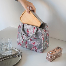 DUGRAFT Insulated Lunch Bag for Women Men Kids，Portable Thermal Lunch Bags Cooler Bag Waterproof Lunch Box Organizer Tote Bag for Work School Picnic or Travel