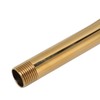 Stainless Steel S Shaped Raised Shower Arm and Flange NPT