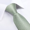 DiBanGu Boys Pretied Necktie and Pocket Square Set Sage Green