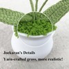 Joekaran Crochet Flowers Cute Little Potted Flower, Gift for Birthday,