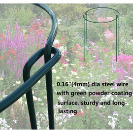6 Pack 24 Inch High Plant Stake,Garden Plant Support,Half-Round Peony Cage Plant Ring Hoop