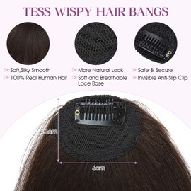Bangs Hair Clip Human Hair,TESS Clip in Bangs Human Hair for Women,Wispy clip on Bang Fringe with Temples,Dark Brown