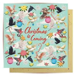La La Land Greeting Card Christmas Is Coming Birds
