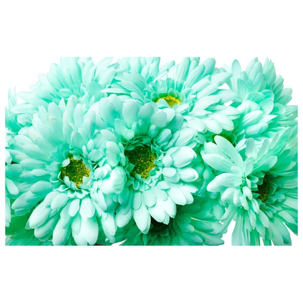 CraftMore Mint Colored Gerbera Daisy Stems 14 Inch Set of