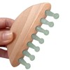 ideayard Scalp Massage Comb Shower Hair Brush Scalp for Hair