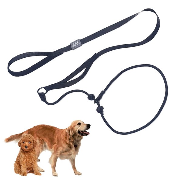 Slip Lead Dog Leash with Comfortable Handle, Adjustable No-Pull Training