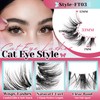 Losha Lashes Wispy Cat Eye Lashes 10 Pairs Natural False