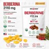 Berberina De 300 Cápsulas Blandas De 500mg *4 Pure Berberine