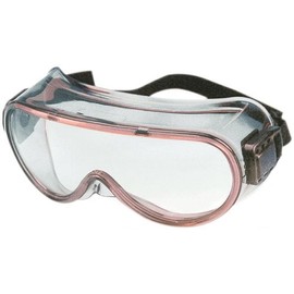 MSA 10064844 Protective Glasses