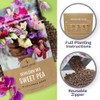 Sweet Pea Seeds Heirloom Mix - Bulk 1/4 Pound Bag
