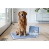 Alpha Paw - Magic Dog & Puppy Pee Pads -