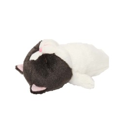 Naito Design Laboratory, Cat Like a Bo Hachibo