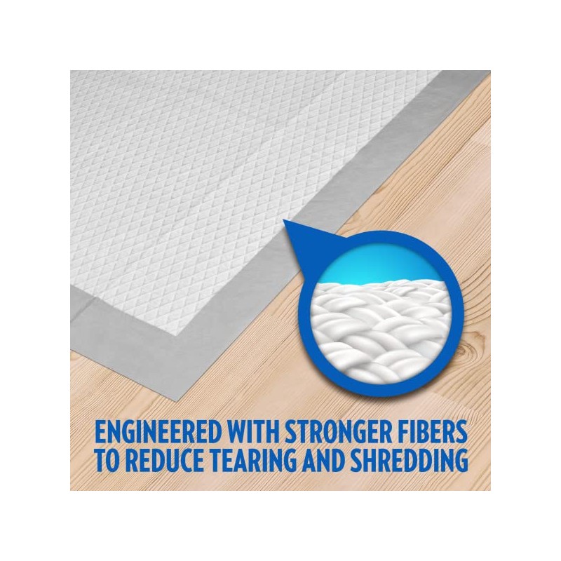 OUT! Go Here Absorbent Pet and Puppy Training Pads |