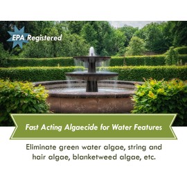 Fountain Algaecide and Clarifier - 16oz - Kills and Inhibits All Types of Algae Growth, Formulated for Small Ponds and Water Features, Treats up to 16,000 Gallons