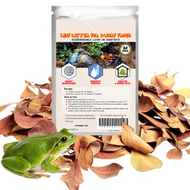 SunGrow Dwarf Frog Mini Catappa Leaves (50 Pc) - Tannin Helps Remove Ammonia, Lower pH - Leaf Litter Indian Almond Leaves, Aquarium Water Treatment, Decor Accessories