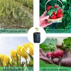 Genérico Bolsas Cultivo de Jardin o vivero Altas (20x30)