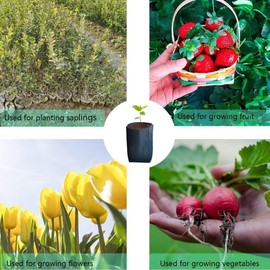 Genérico Bolsas Cultivo de Jardin o vivero Altas (20x30)