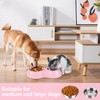 PetVillage Elevated Dog Bowls Set - Non-Slip Raised Pet Feeder