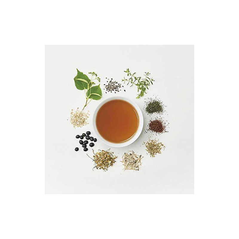 Tree of Life My 30 Day Tea Women's Alliance Blend
