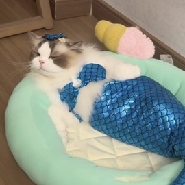 Cat Mermaid Costume Creative Cat and Dog Costumes Funny Fishtail Dress Puppy Mermaid Fishtail Dress Pet Mermaid Costume Humor Funny Photo Props(Blue)