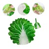 KOMBIUDA Cabbage Wrap Children's Hat Kit Blanket Set for Newborn