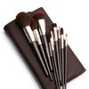 Ten Professional Makeup Brushes Set with Case and Pouch Soft