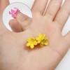 HPNN-006 Hair Clip, Mini Flower, Yellow, Small, Cute, Bangs, Hair