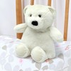 Daniel James Warm Hugs Microwaveable Plush Polar Bear - Heatable