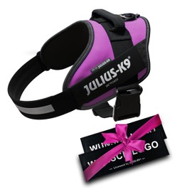 IDC Power Harnesses Dark Pink with Individual Velcro Labels Bundle Optional Size