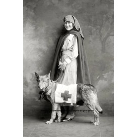 World War I Nurse Rescue Dog PHOTO Red Cross Mercy Dog, Comfort to Soldiers