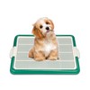 Pets-N-Me Dog Pee Pad Holder, Puppy Potty Training Tray 22.5”X16.5”